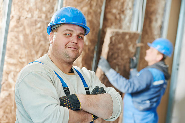 Insulation Repair Services in Ellendale, ND